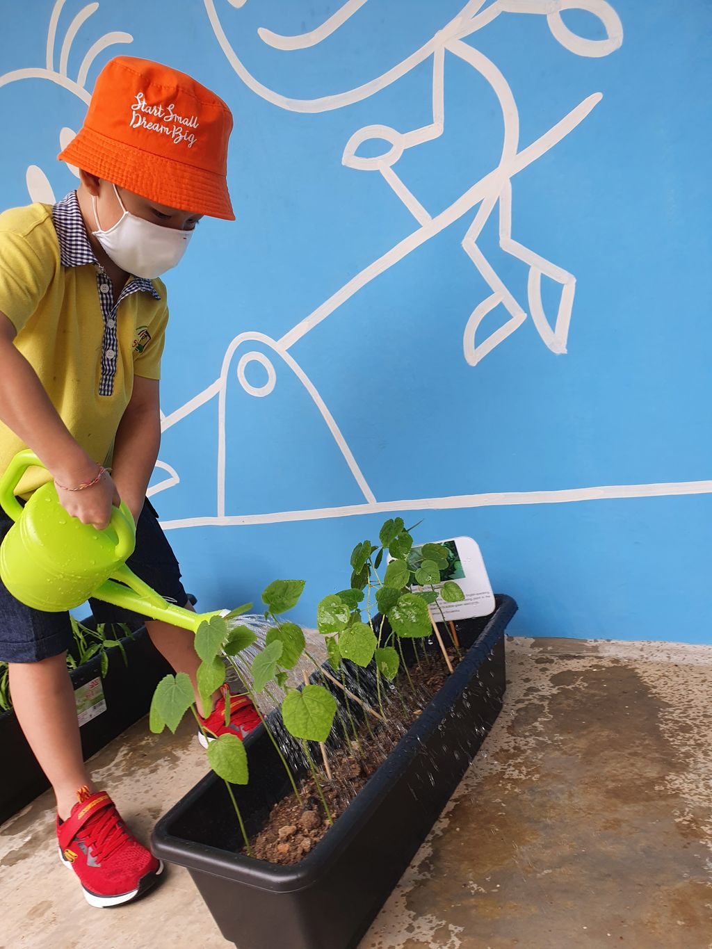 Caring For The Environment by Skool4Kidz @ Tampines Greenleaf — photo 1
