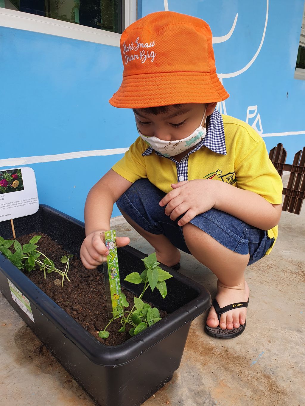 Caring For The Environment by Skool4Kidz @ Tampines Greenleaf — photo 3