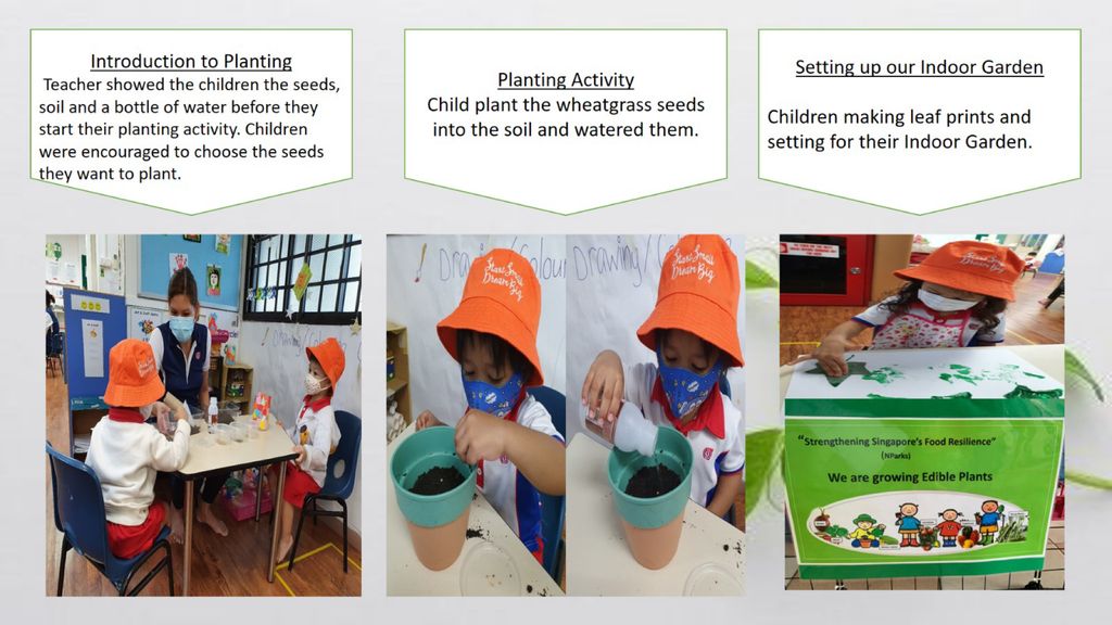 Phase 2: Strengthening Food Resilience by Setting up our School’s Indoor Garden — photo 2