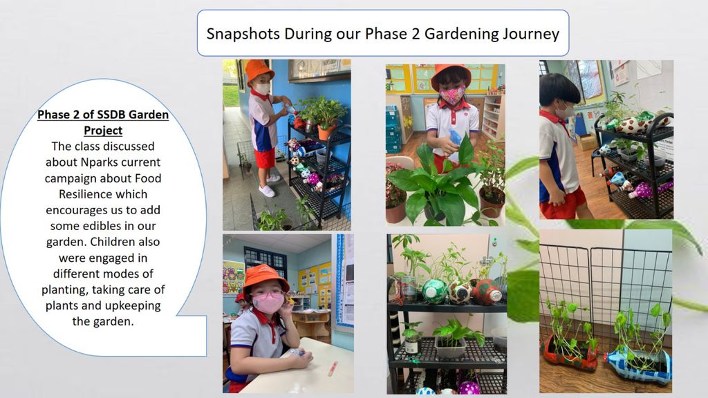 Phase 2: Strengthening Food Resilience by Setting up our School’s Indoor Garden — photo 12