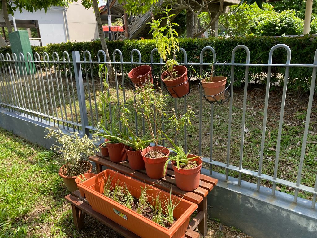Appreciating Nature: Sustainable Food Sources — photo 2