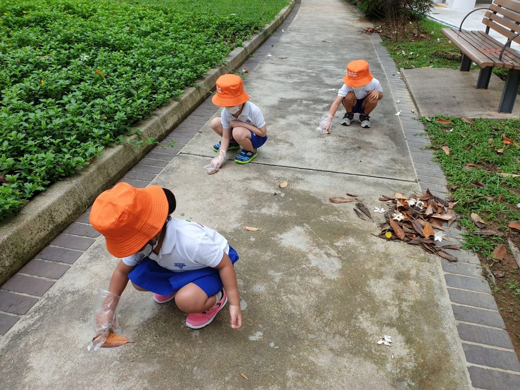 Start Small Dream Big Project : Zero Waste — photo 2