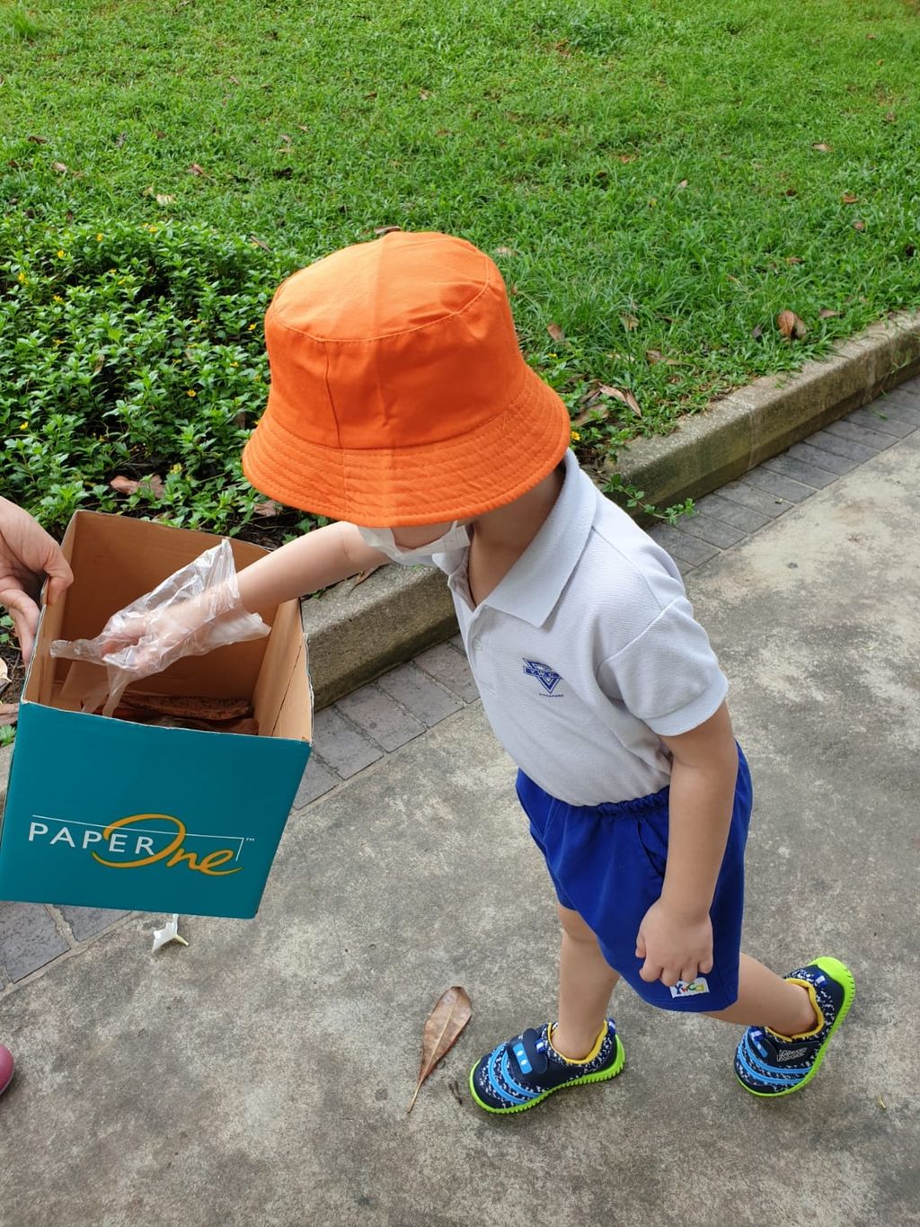 Start Small Dream Big Project : Zero Waste — photo 4