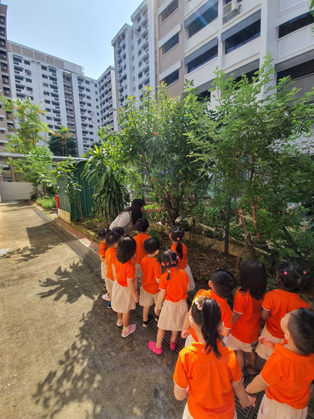 SSDB 2020 - Caring for the plants in our community