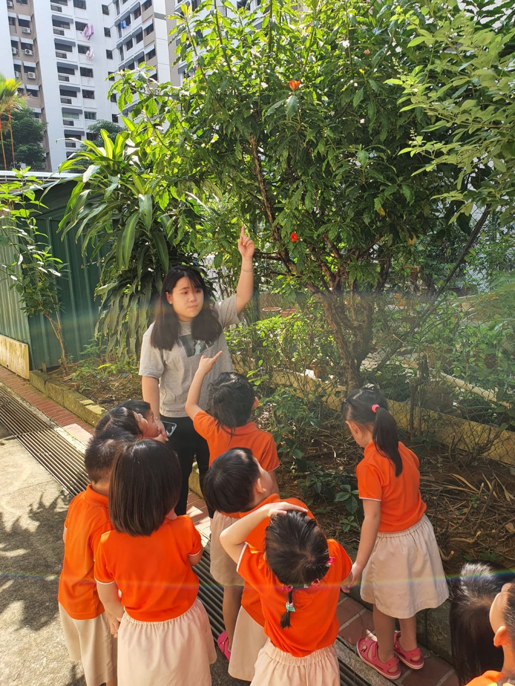 SSDB 2020 - Caring for the plants in our community — photo 2