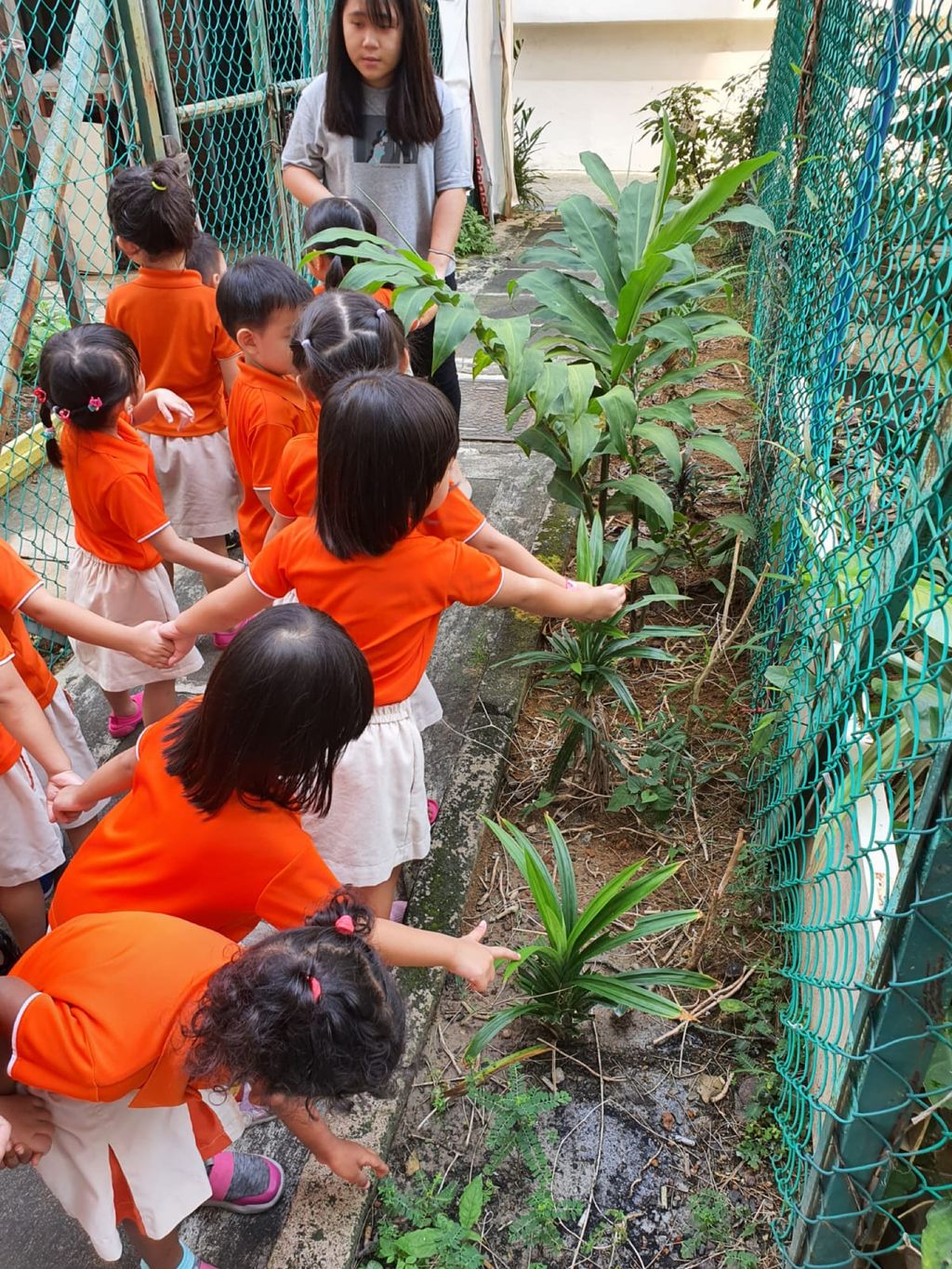 SSDB 2020 - Caring for the plants in our community — photo 3