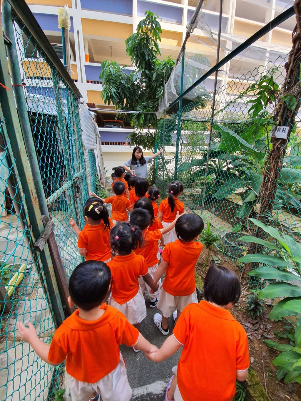 SSDB 2020 - Caring for the plants in our community — photo 4