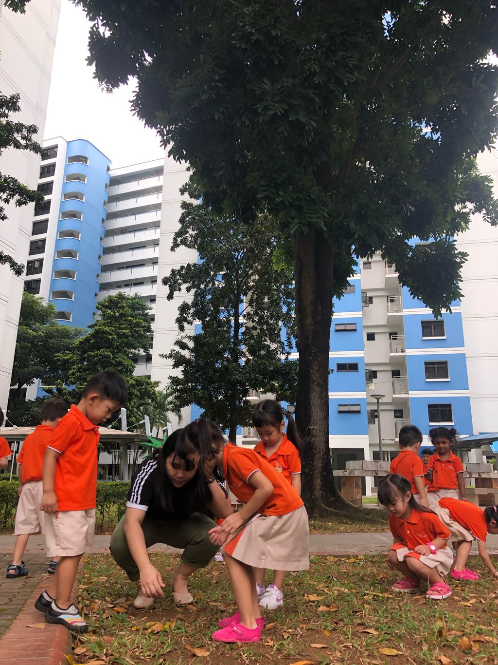 SSDB 2020 - Caring for the plants in our community — photo 6