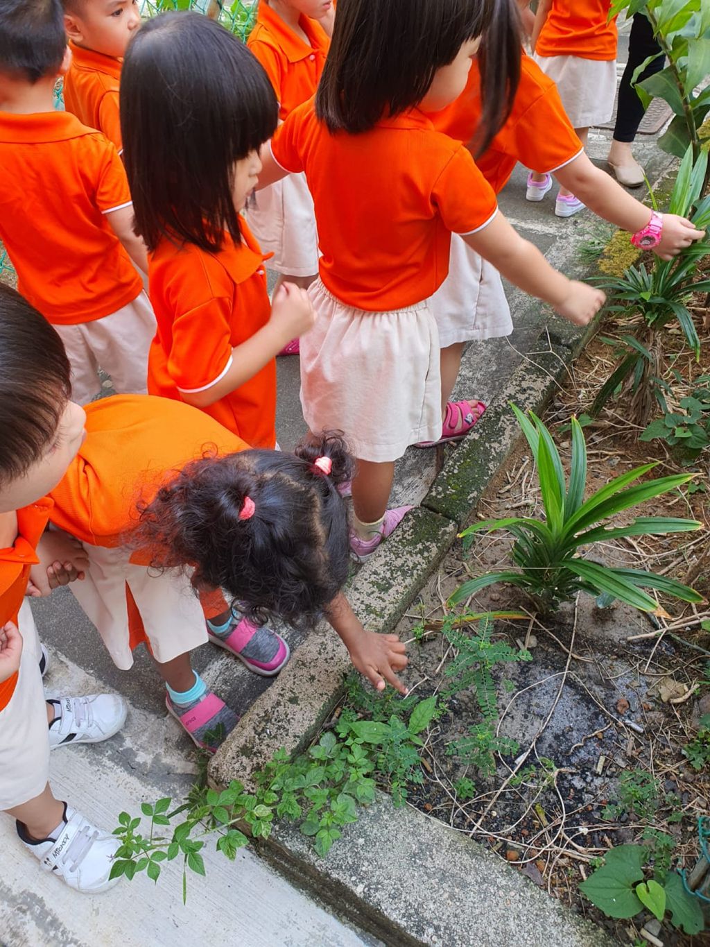 SSDB 2020 - Caring for the plants in our community — photo 7