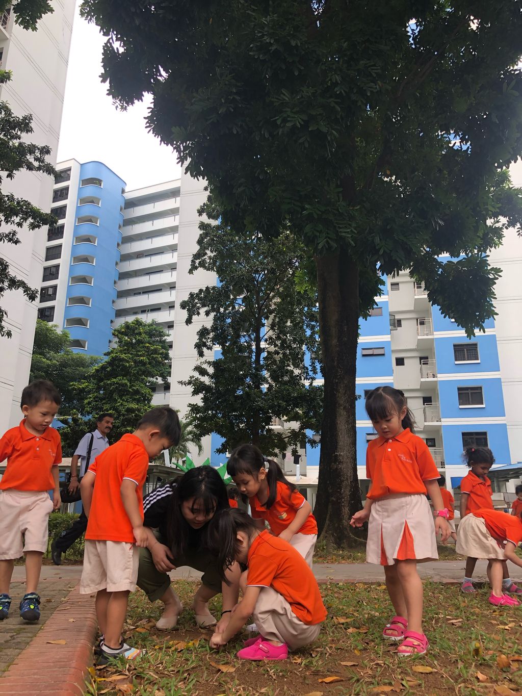 SSDB 2020 - Caring for the plants in our community — photo 8