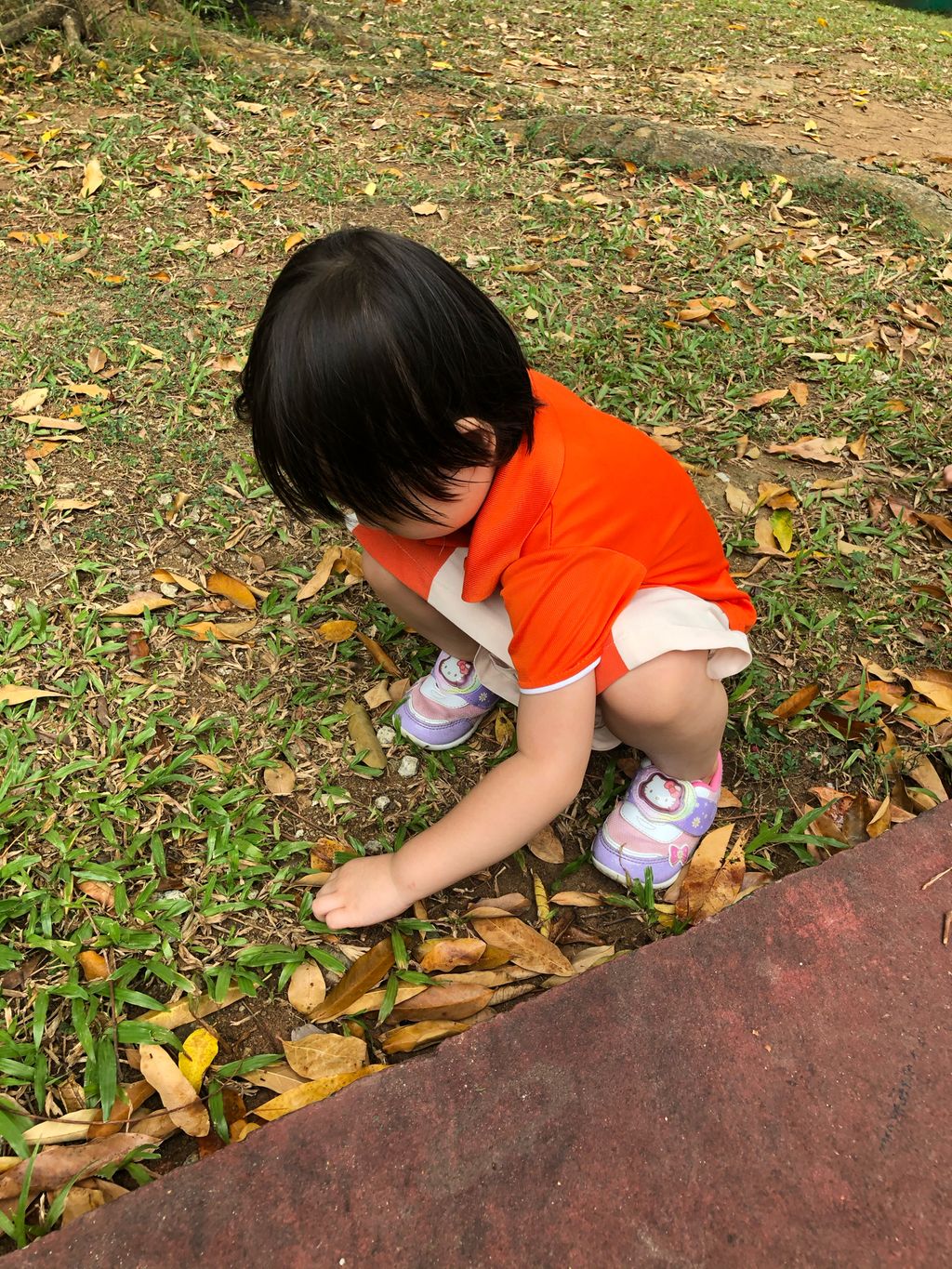 SSDB 2020 - Caring for the plants in our community — photo 10