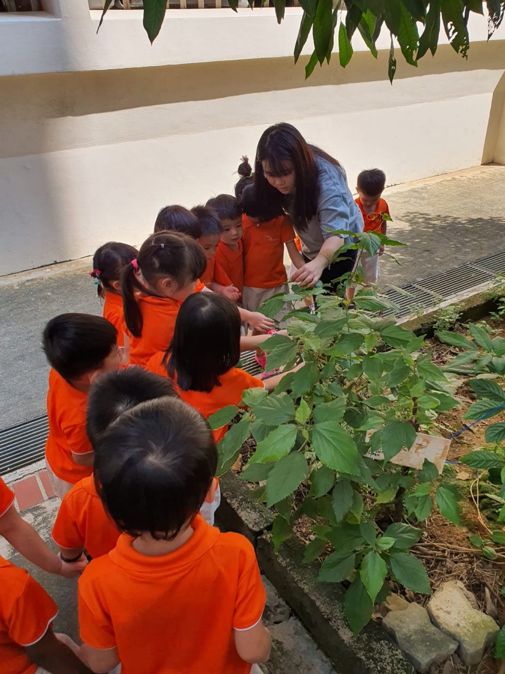 SSDB 2020 - Caring for the plants in our community — photo 11