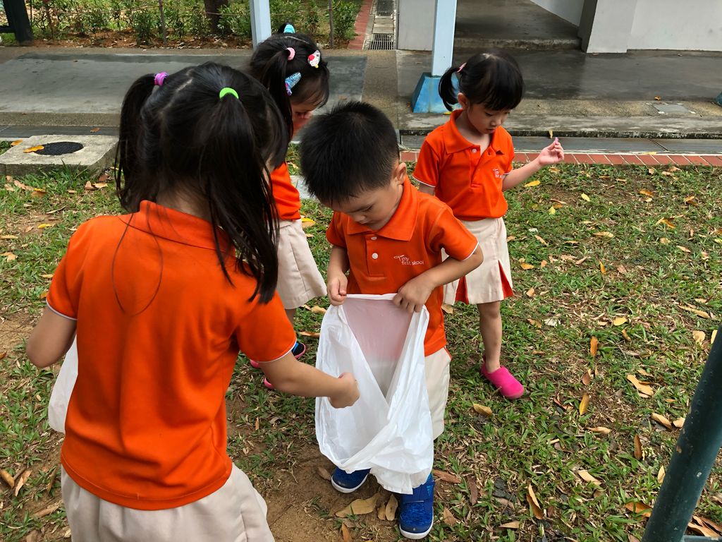 SSDB 2020 - Caring for the plants in our community — photo 13