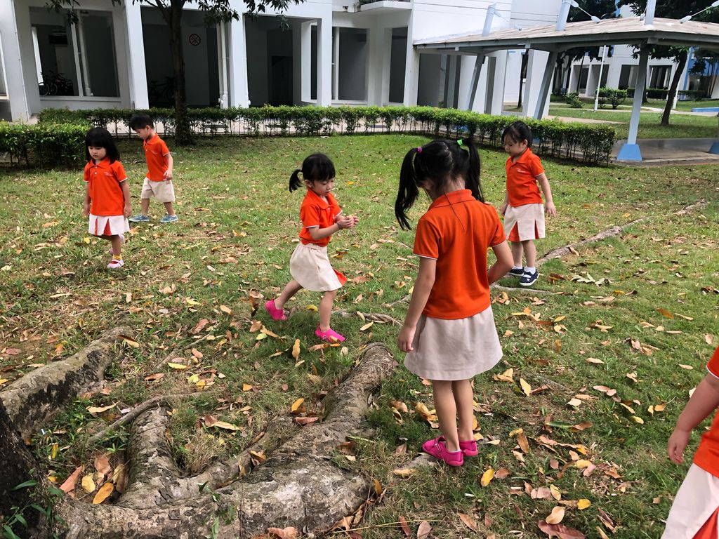 SSDB 2020 - Caring for the plants in our community — photo 14