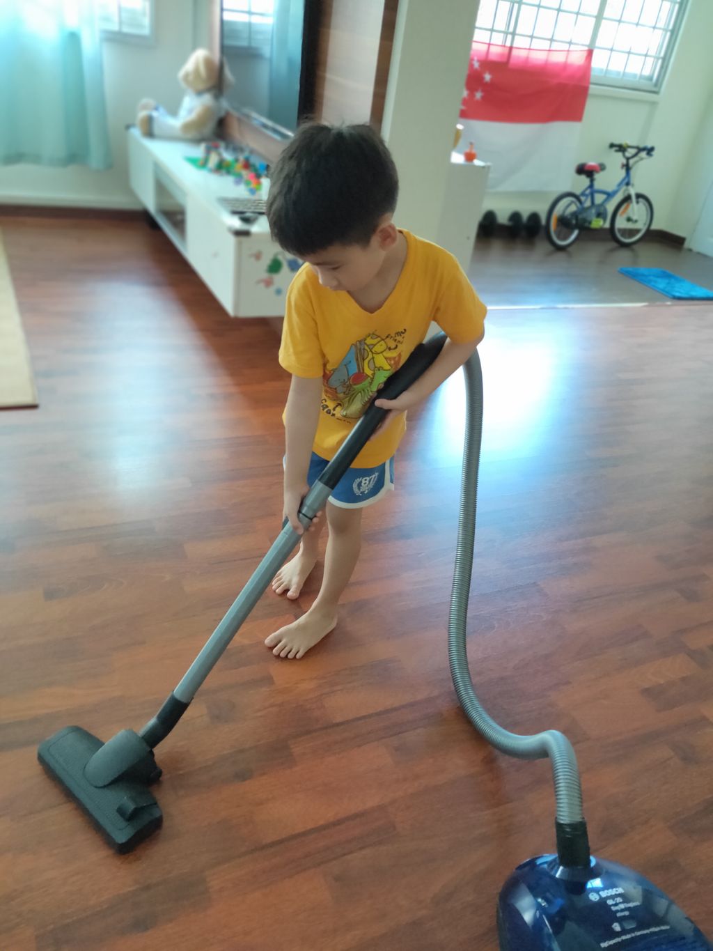 Keeping our homes clean! — photo 6