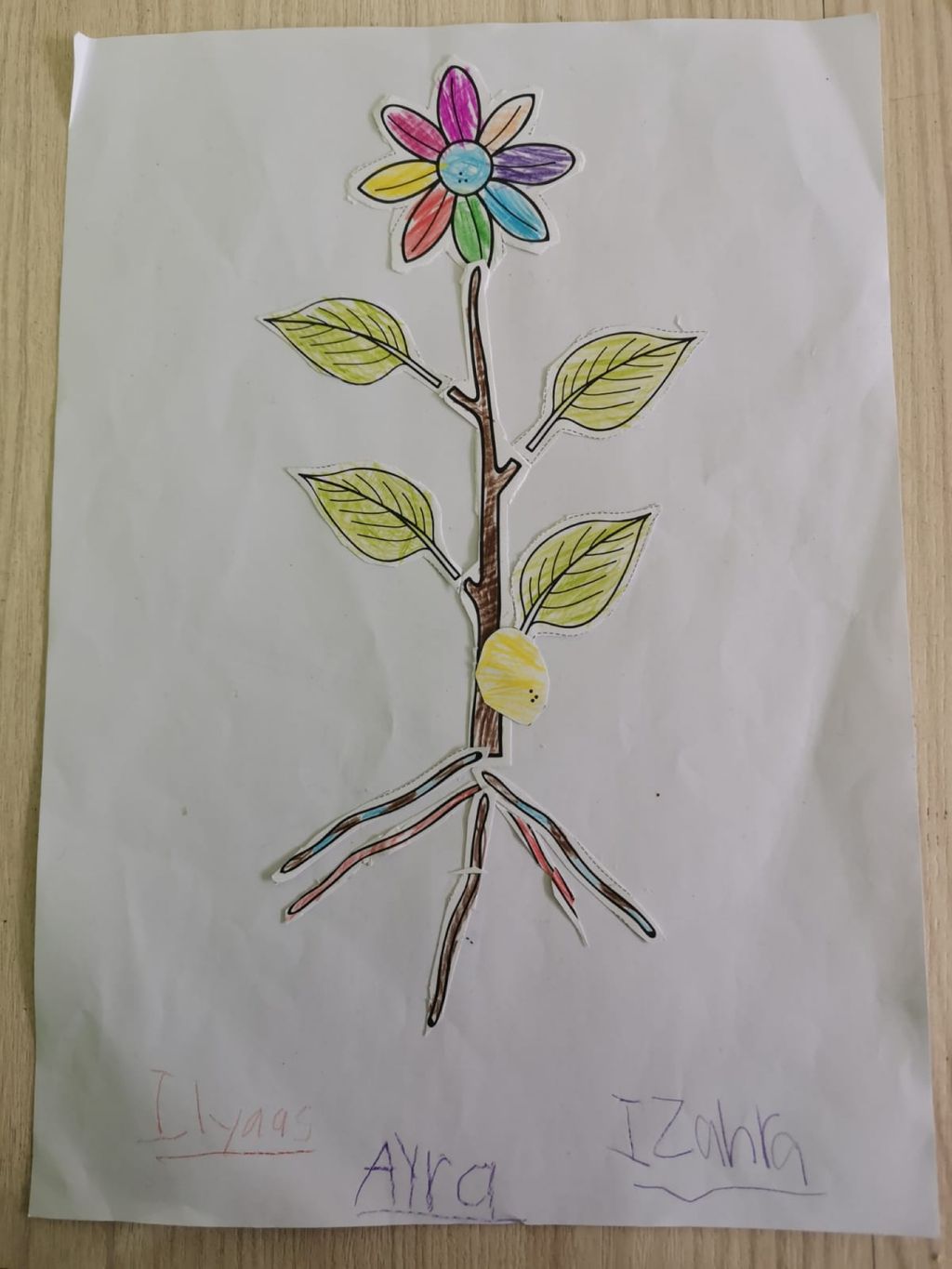 Week 5: ‘Nature and Me!’ – Collaboration with NParks (Part 1) — photo 15