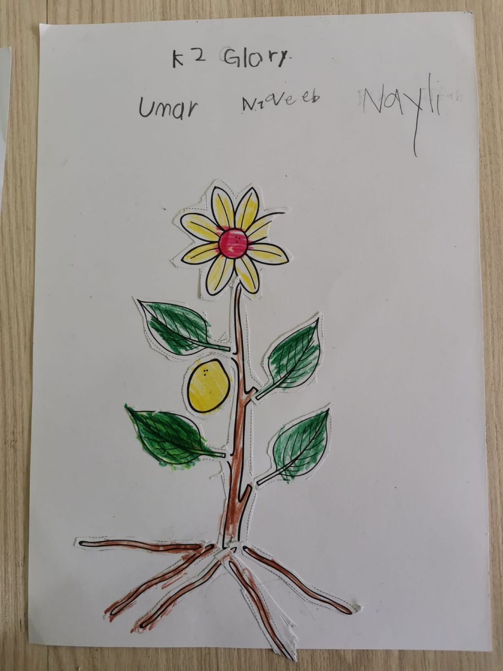 Week 5: ‘Nature and Me!’ – Collaboration with NParks (Part 1) — photo 17