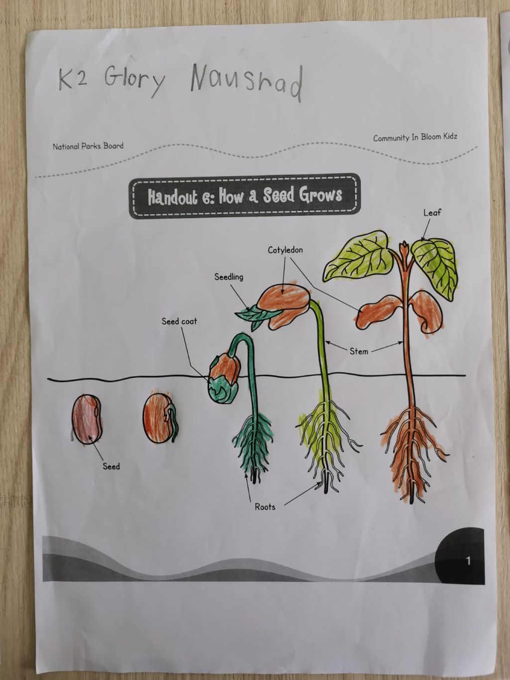 Week 5: ‘Nature and Me!’ – Collaboration with NParks (Part 1) — photo 18