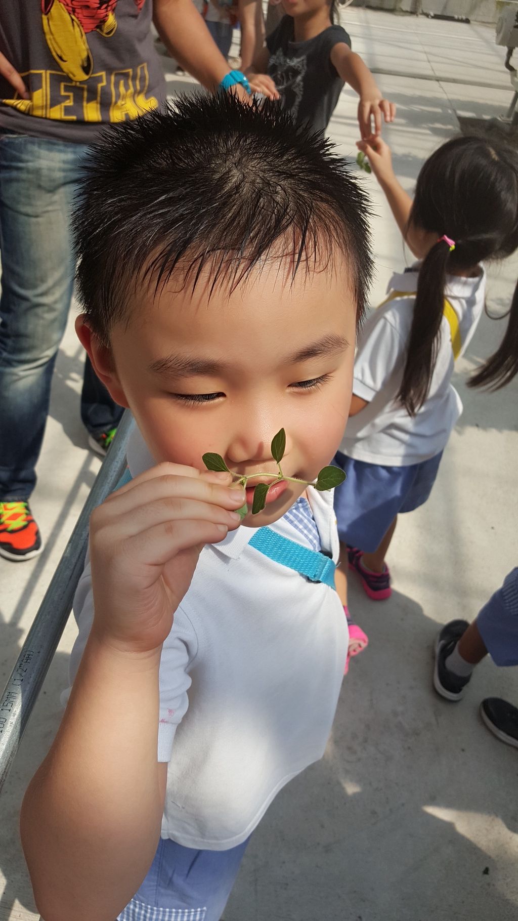 Field Trip to Kok Fah Technology Farm Pte Ltd — photo 3