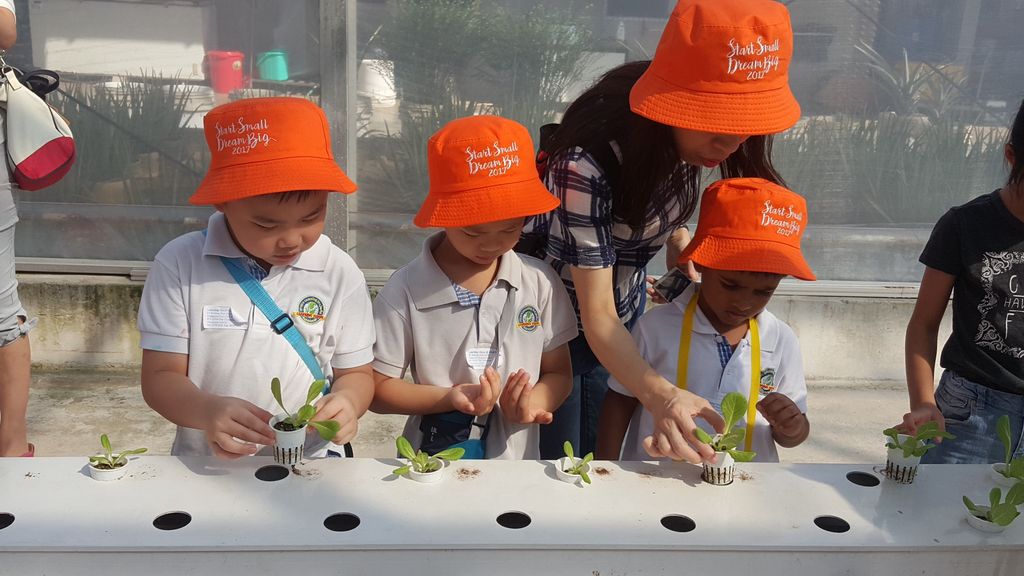 Field Trip to Kok Fah Technology Farm Pte Ltd — photo 4