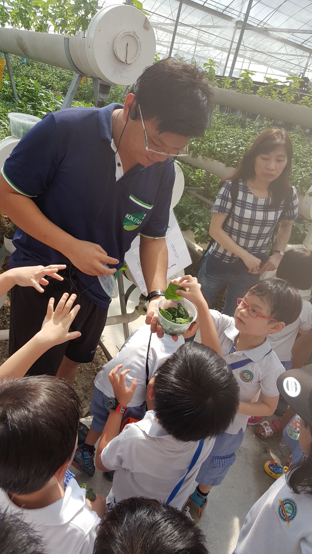 Field Trip to Kok Fah Technology Farm Pte Ltd — photo 7