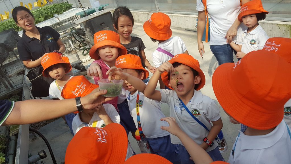 Field Trip to Kok Fah Technology Farm Pte Ltd — photo 9
