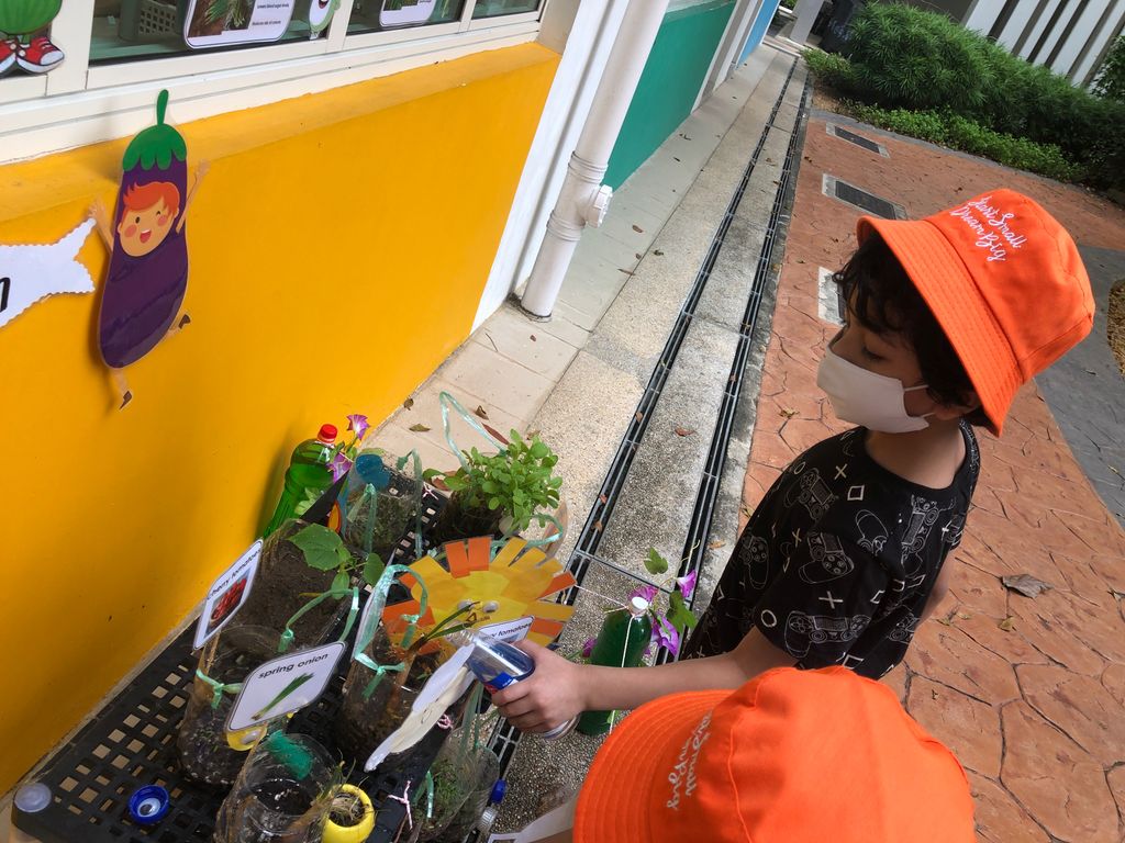 Creative Minds with a Caring Heart — photo 4