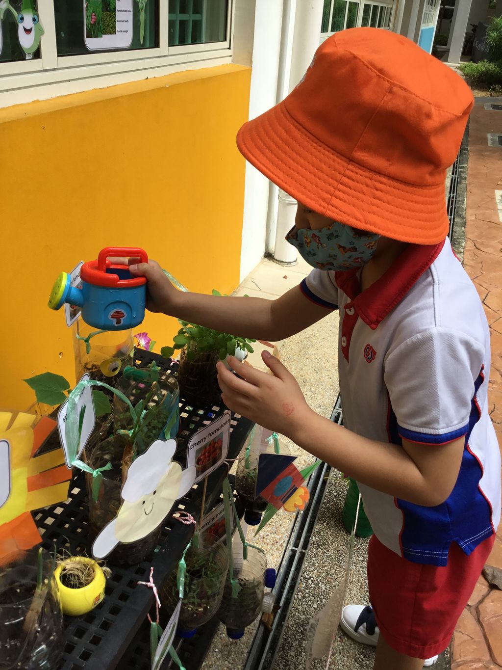 Creative Minds with a Caring Heart — photo 12