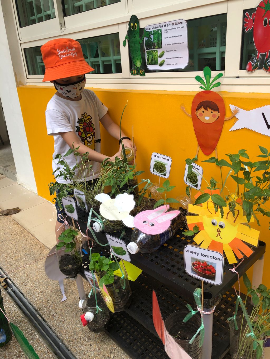 Creative Minds with a Caring Heart — photo 18