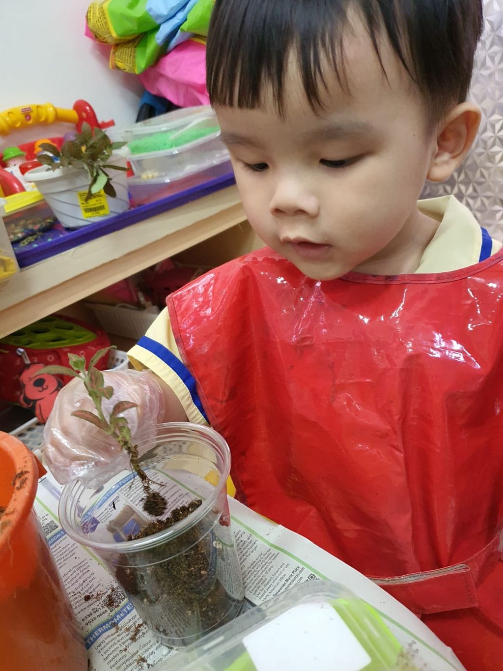 Eco - Friendly Craft — photo 3