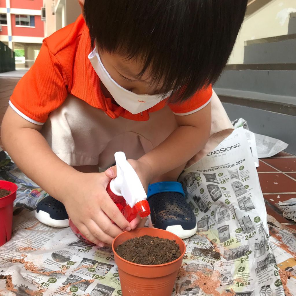 Planting edibles — photo 2