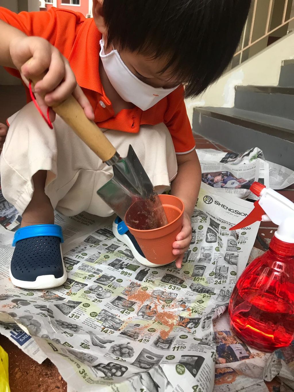 Planting edibles — photo 3