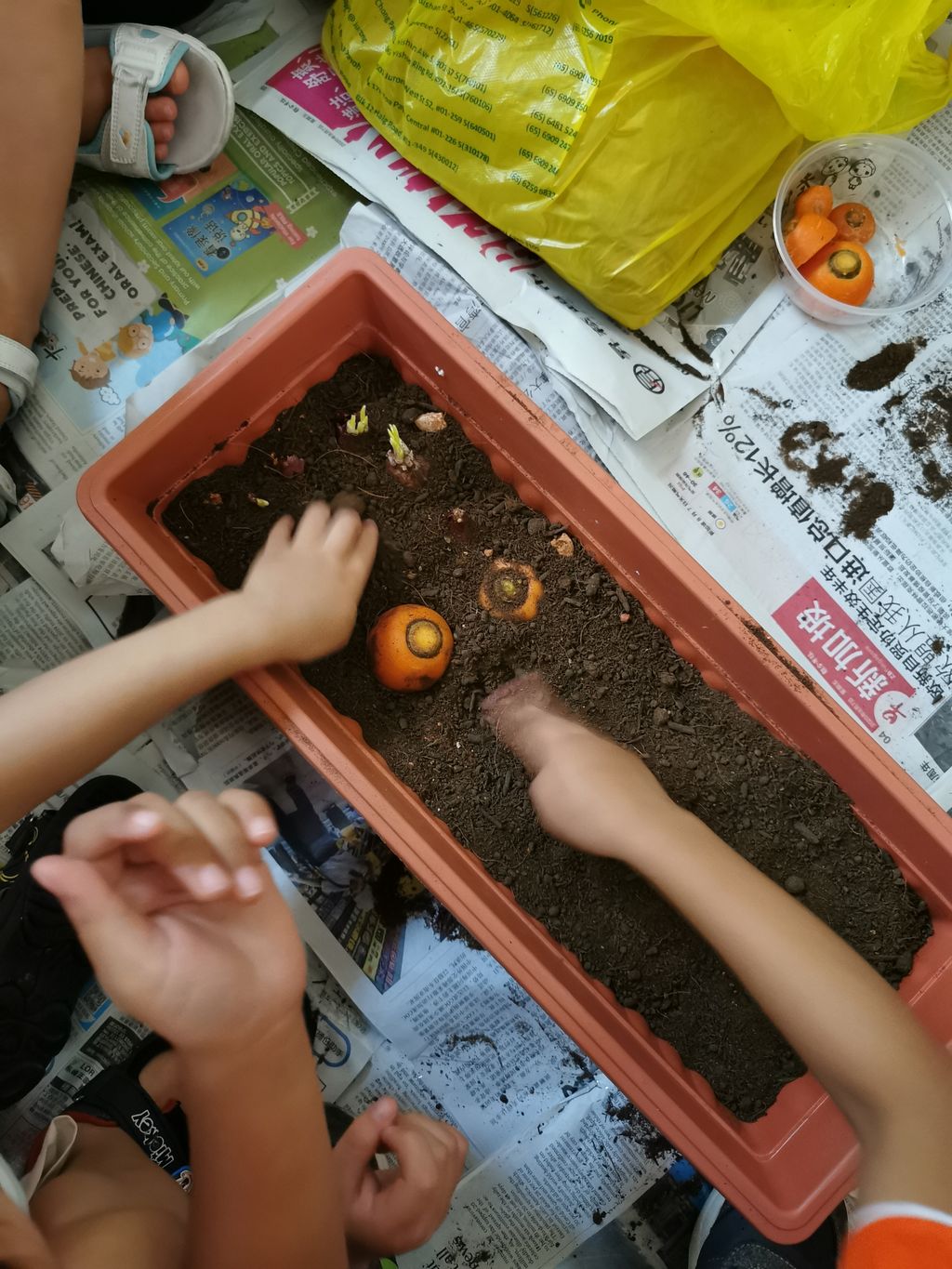Planting edibles — photo 7