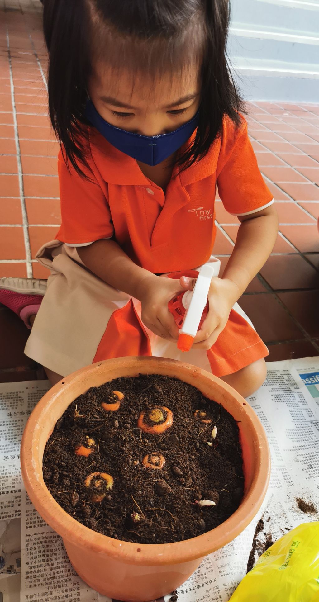 Planting edibles — photo 10