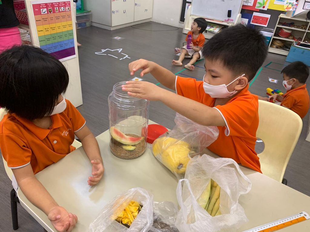 Making eco-enzyme — photo 3