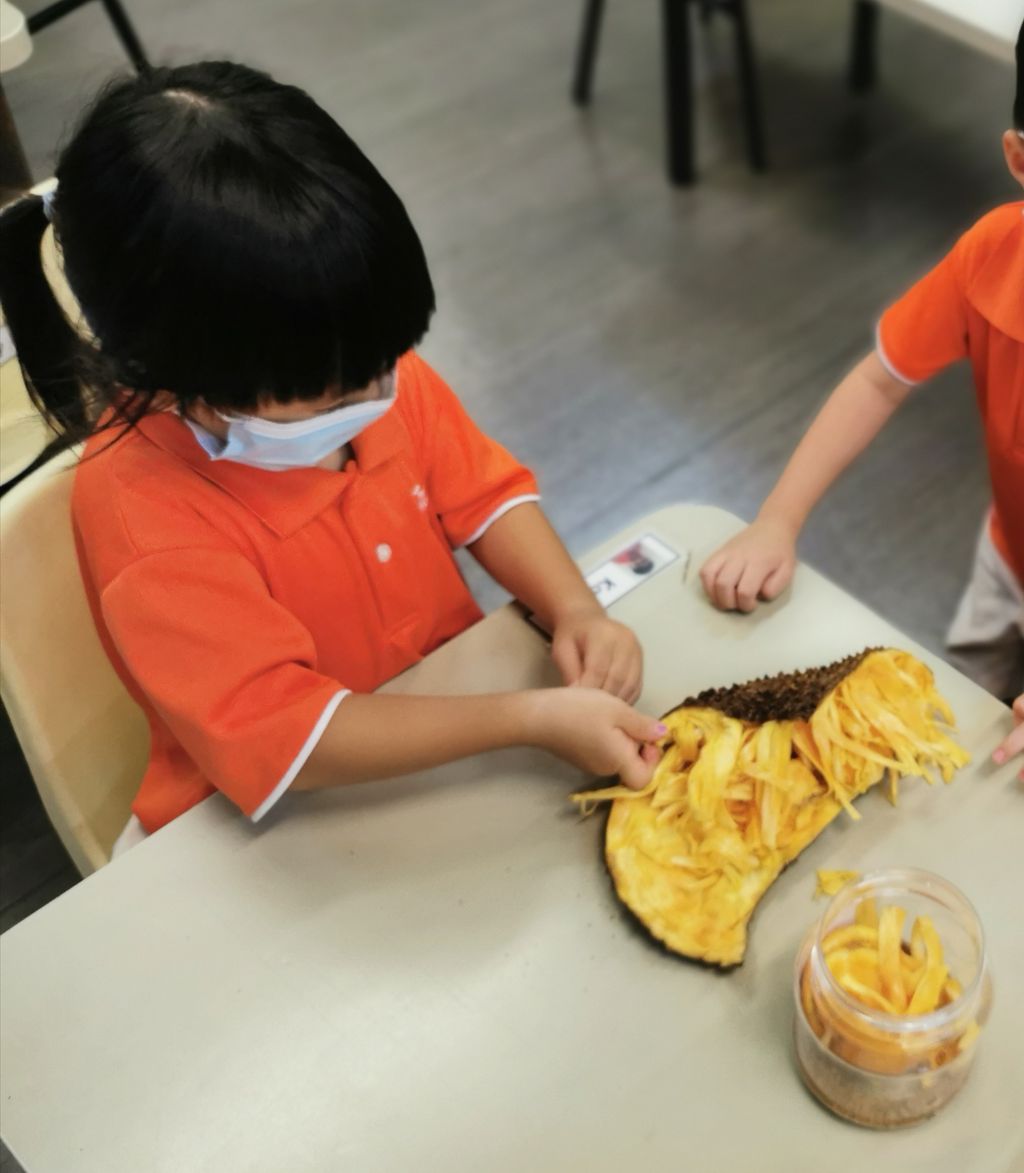 Making eco-enzyme — photo 6
