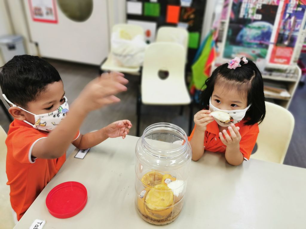 Making eco-enzyme — photo 9