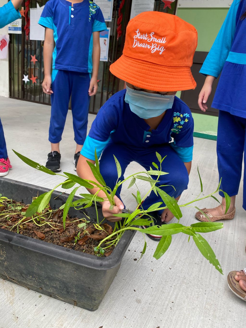 Week 6: ‘Nature and Me!’ – Time to Reap What We Sow!