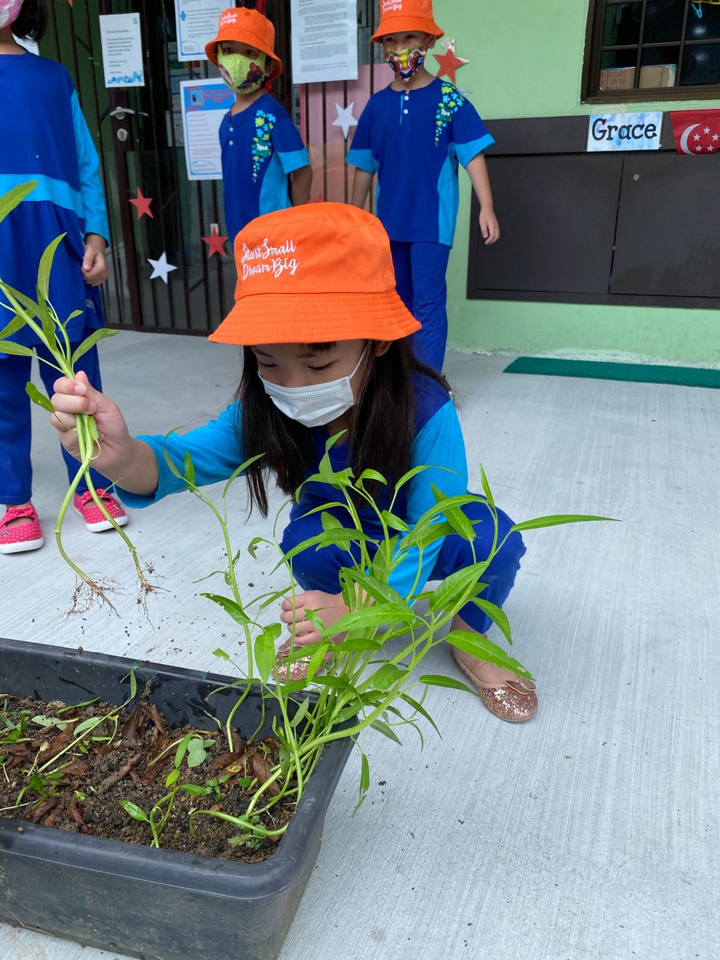 Week 6: ‘Nature and Me!’ – Time to Reap What We Sow! — photo 10