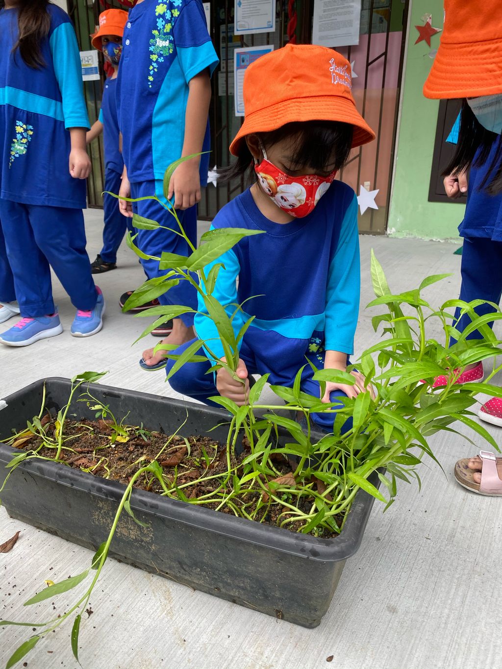 Week 6: ‘Nature and Me!’ – Time to Reap What We Sow! — photo 12
