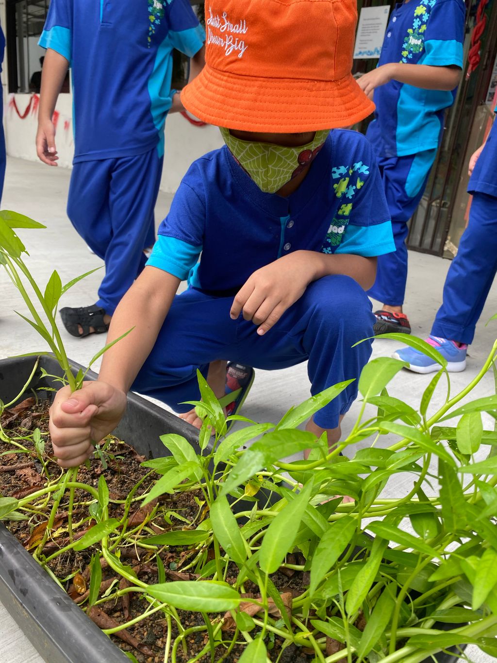 Week 6: ‘Nature and Me!’ – Time to Reap What We Sow! — photo 13
