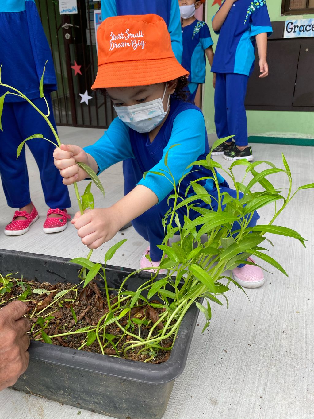 Week 6: ‘Nature and Me!’ – Time to Reap What We Sow! — photo 15