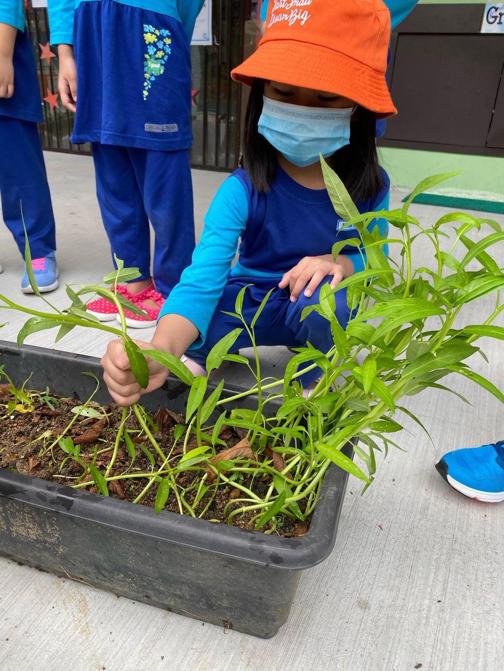 Week 6: ‘Nature and Me!’ – Time to Reap What We Sow! — photo 17