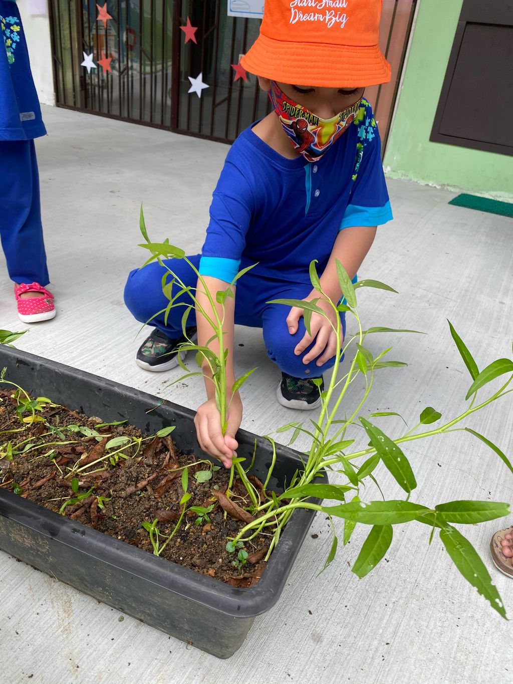 Week 6: ‘Nature and Me!’ – Time to Reap What We Sow! — photo 18