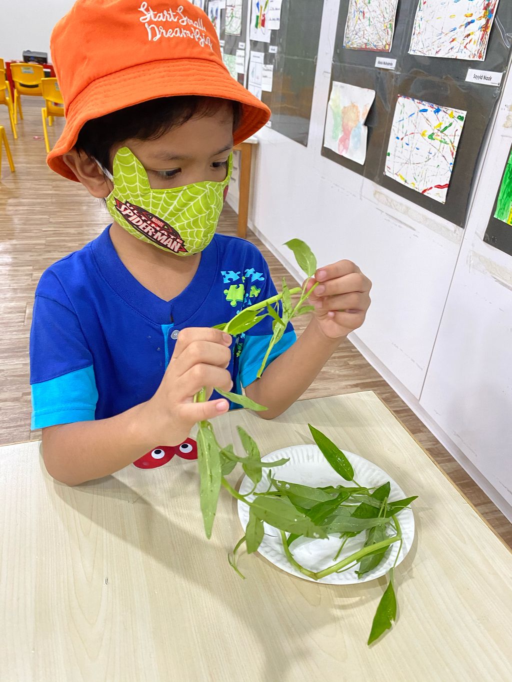 Week 6: ‘Nature and Me!’ – Time to Reap What We Sow! — photo 2