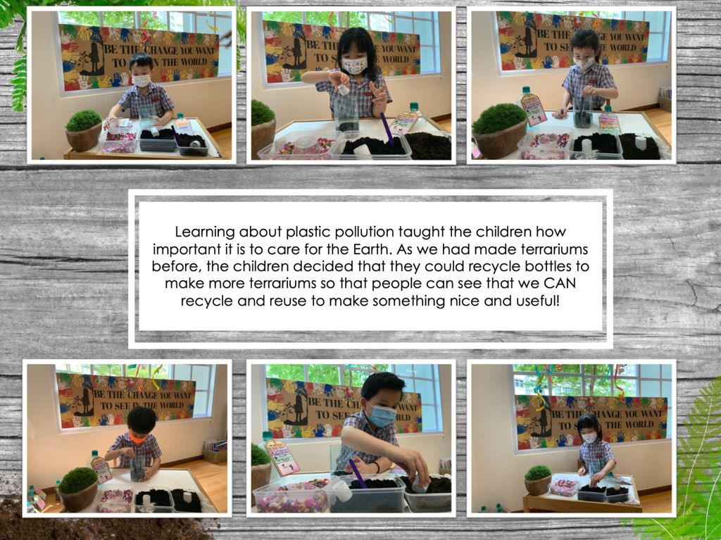 Planting Hope — photo 2