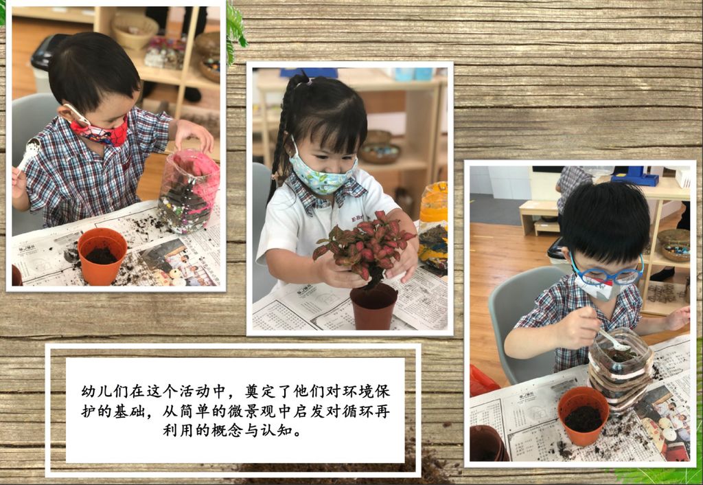 Planting Hope — photo 5