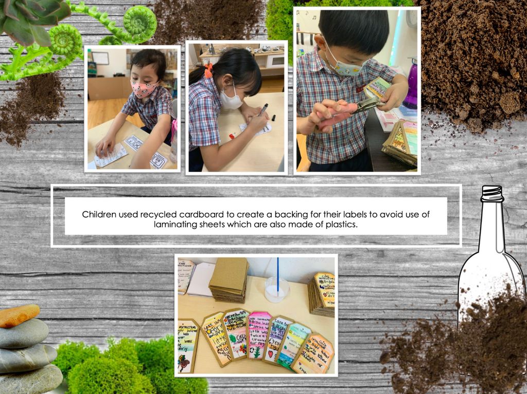 Planting Hope — photo 12