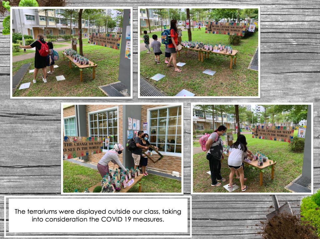 Planting Hope — photo 14