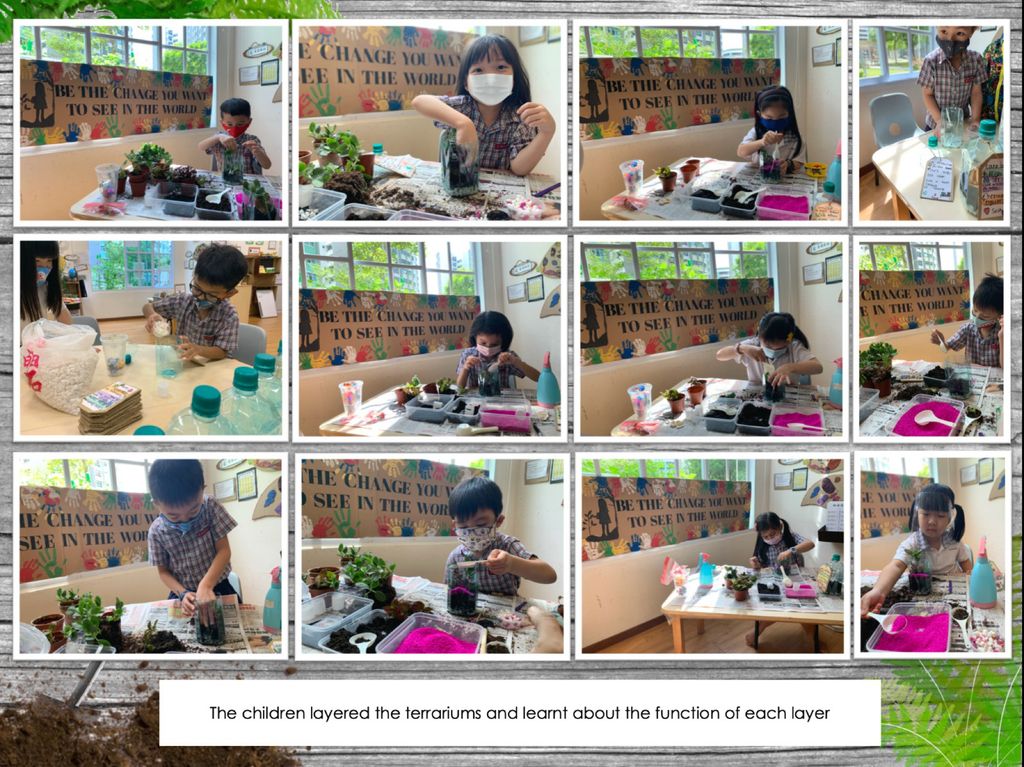 Planting Hope — photo 15
